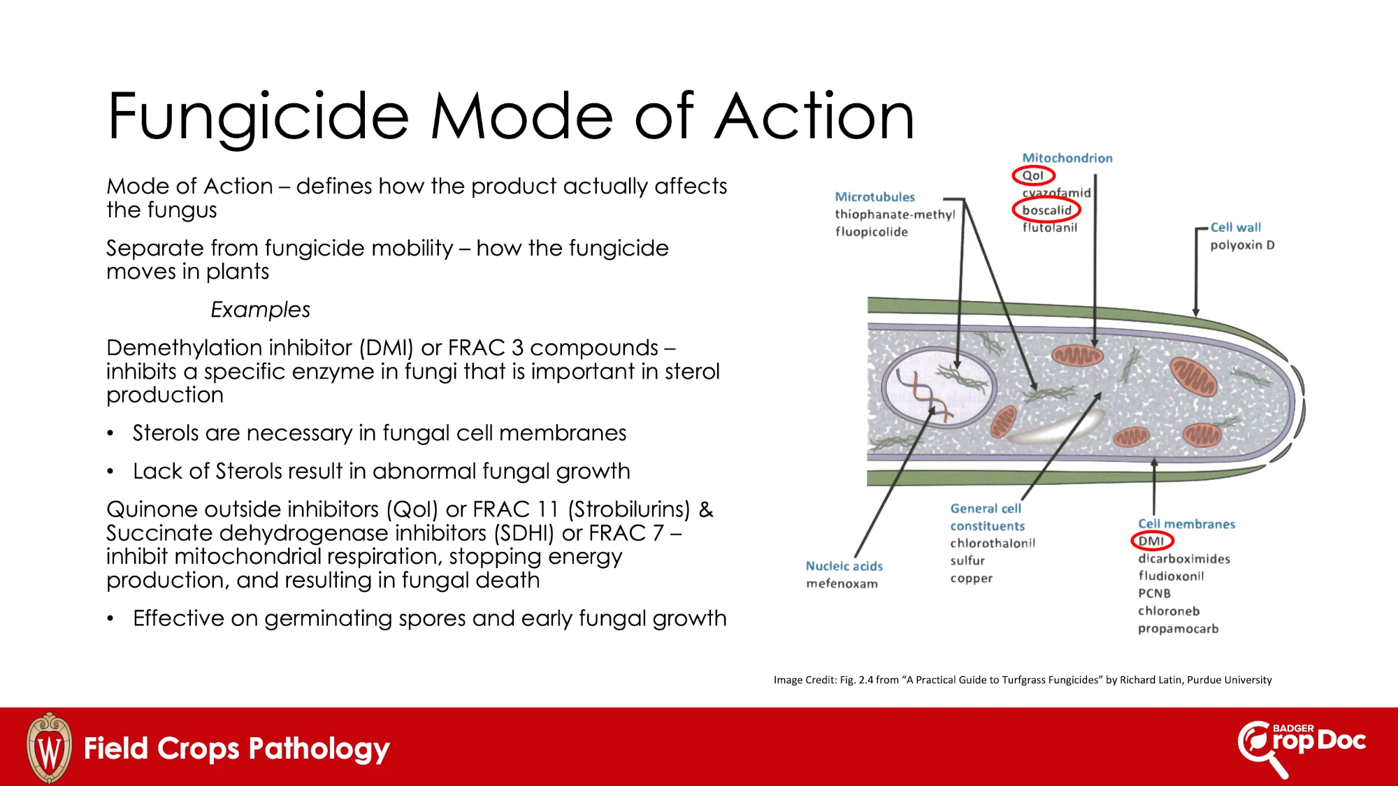 Fungicide-Mode
