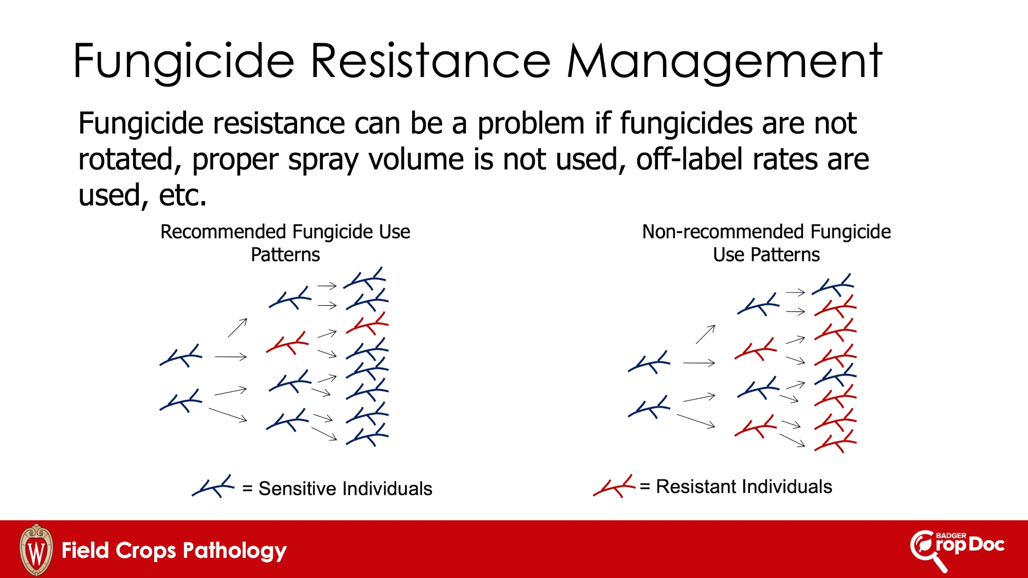 Fungicide-Resistance
