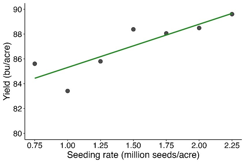 Figure 1. Winter wheat grain yield response to increasing seeding rates across four locations in Wisconsin (2025).